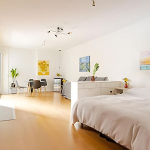 Loft Amplio 50M2 Nuevo En Recoleta